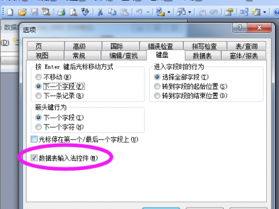 ACCESS 关闭输入法模式